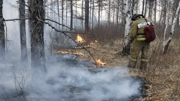 В России ликвидировали 66 природных пожаров за сутки