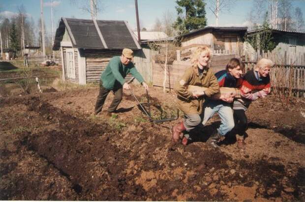 эх, тройка удалая