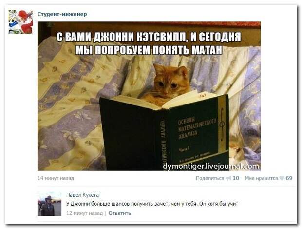 Подслушано из социальных сетей