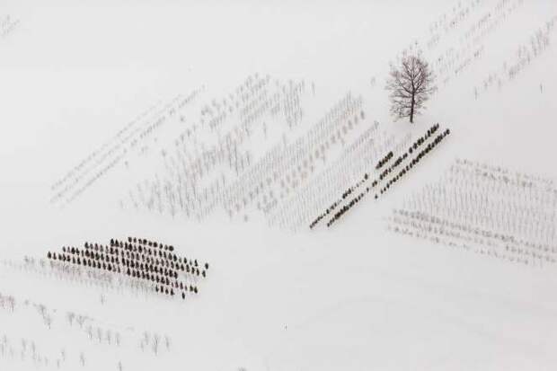 A snow-covered field is seen near Buffalo on November 21, 2014