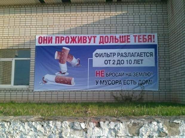 Социалочка: когда реклама удалась Социалочка: когда реклама удалась