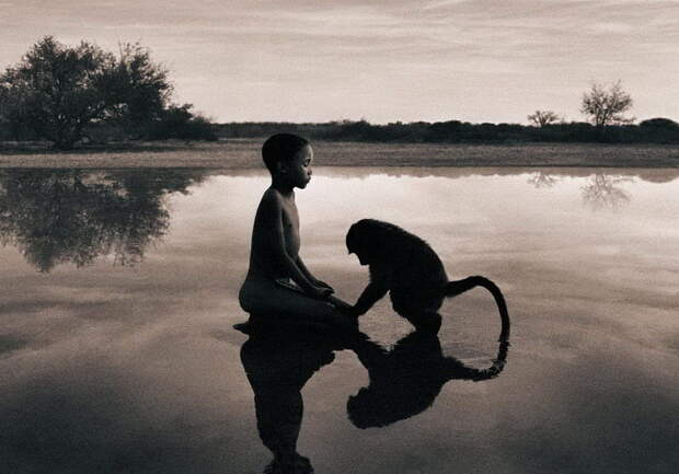 Люди и животные в фотографиях Gregory Colbert