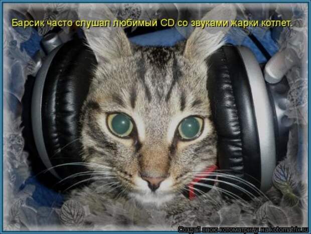 Свежая котоматрица (22 шт)
