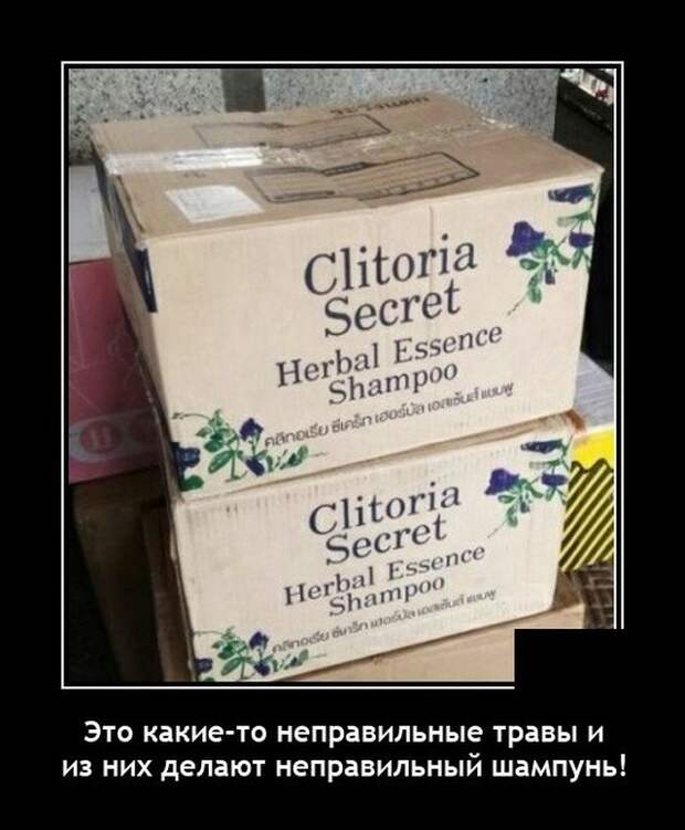 Демотиватор про коробки