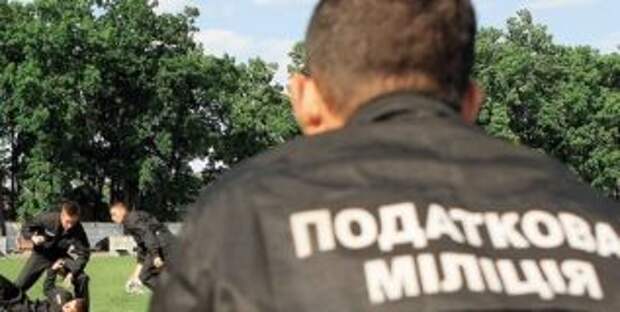 В Украине появится «налоговый спецназ»