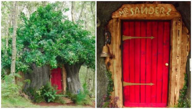 В Эшдаунском лесу появилась точная копия домика Винни-Пуха, который можно снять на выходные (Хай-Вельд, Великобритания). 