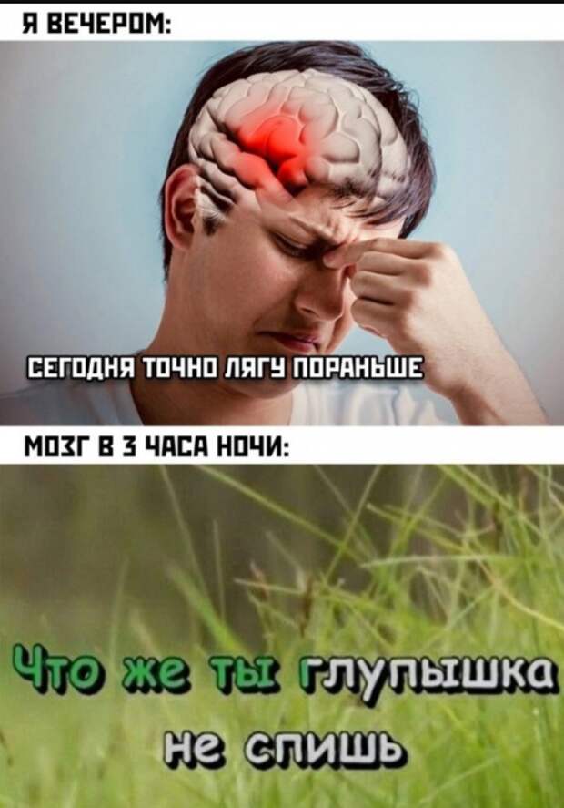 Взрывной смех: лучшие картинки и мемы для поднятия настроения!
