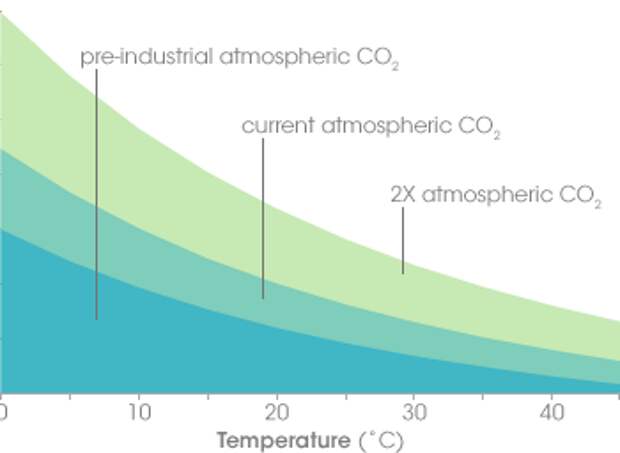 Концентрация co2 в воздухе карта