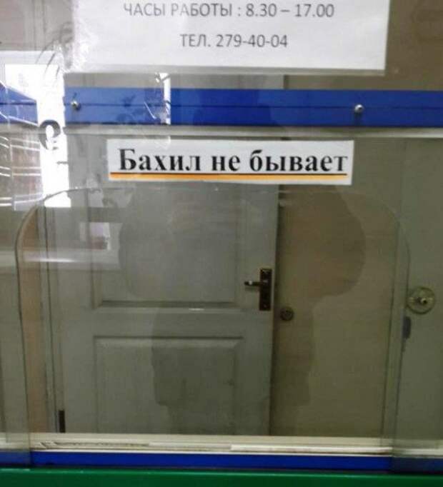 Прикольные картинки