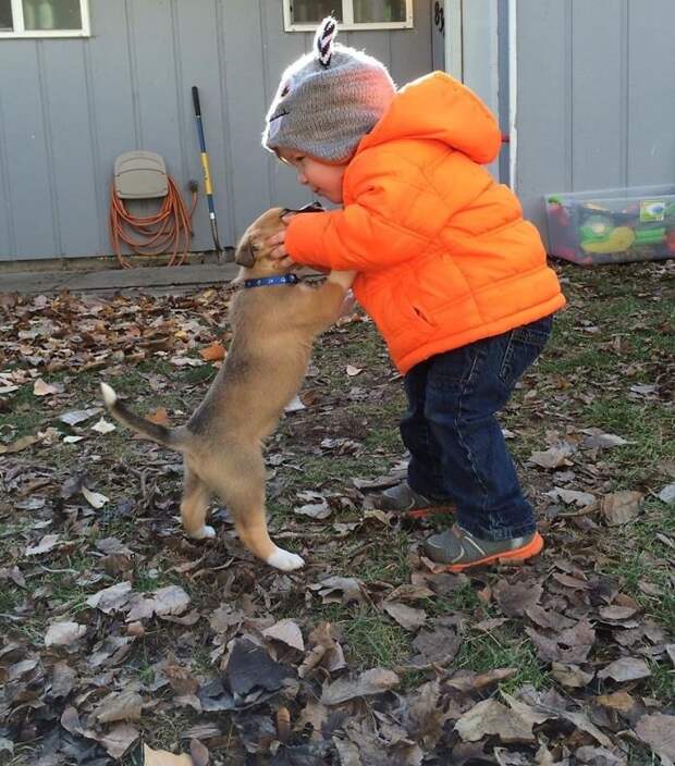 We Got A New Puppy And I Think Our Son Got A New Best Friend