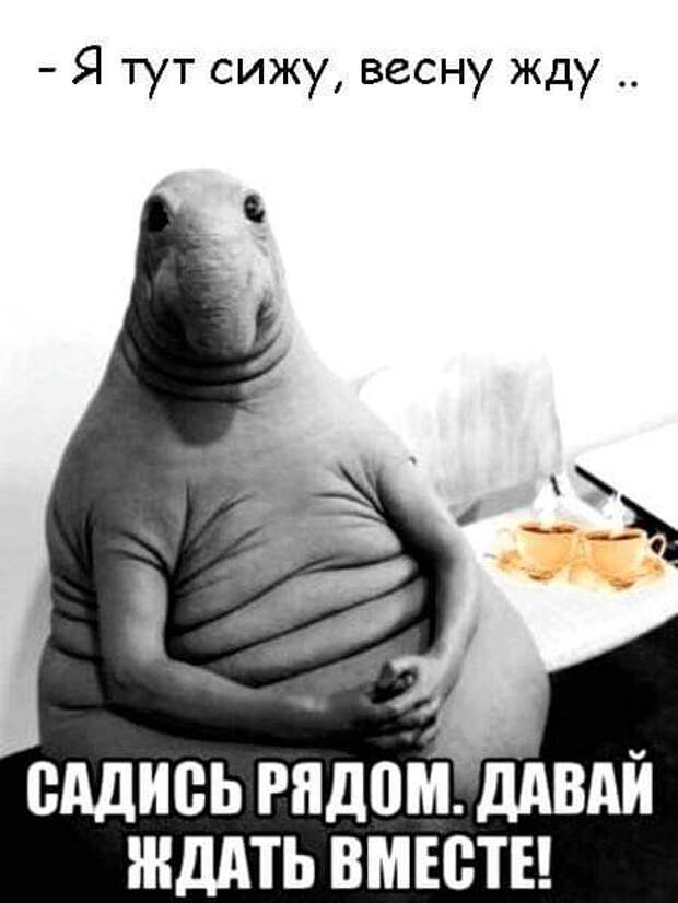 Свежая подборка забавных  шуточек