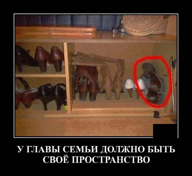 Демотиваторы (20 фото)
