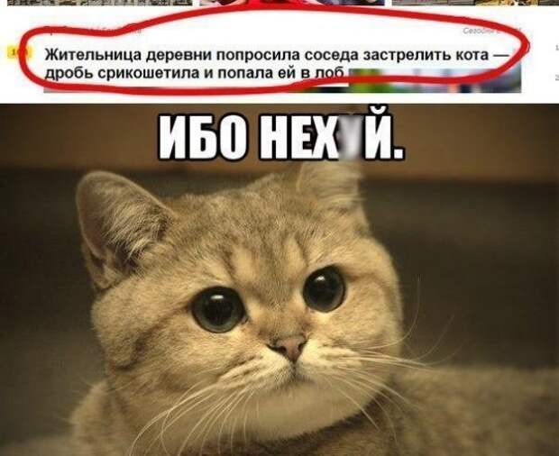 Позитивный пост+111