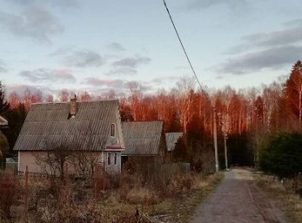 Стали известны подробности гибели изнасилованной и убитой мигрантами пенсионерки