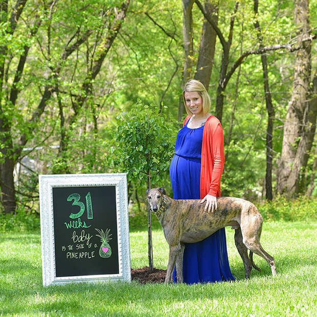 Младенец вернул псу любовь к людям Младенец вернул псу любовь к людям братья меньшие, животные, любовь к людям, собаки