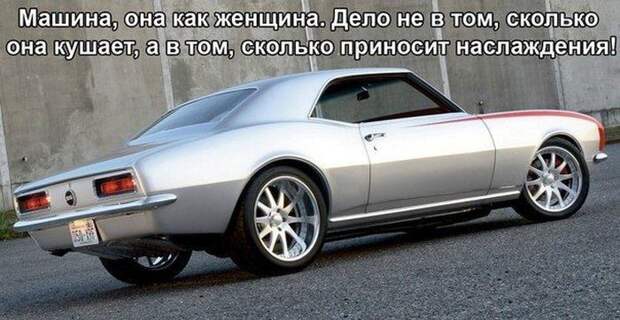 Забавные автоприколы Забавные автоприколы