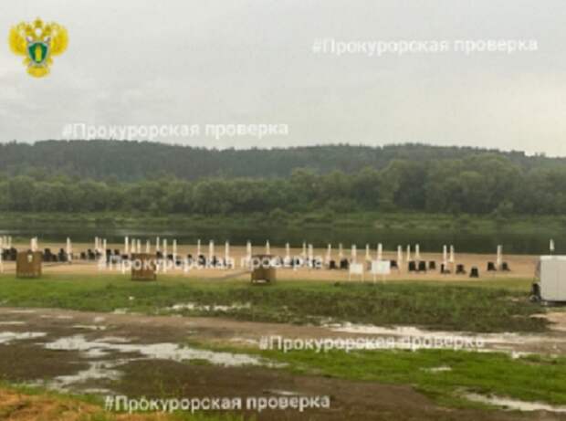 После ЧП на пляже в Тульской области женщина попала в реанимацию