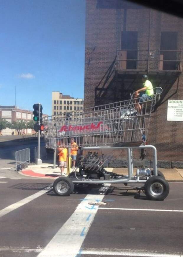 Прикольные картинки Прикольные картинки