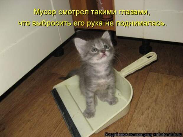 Котоматрица свежак (36 шт)