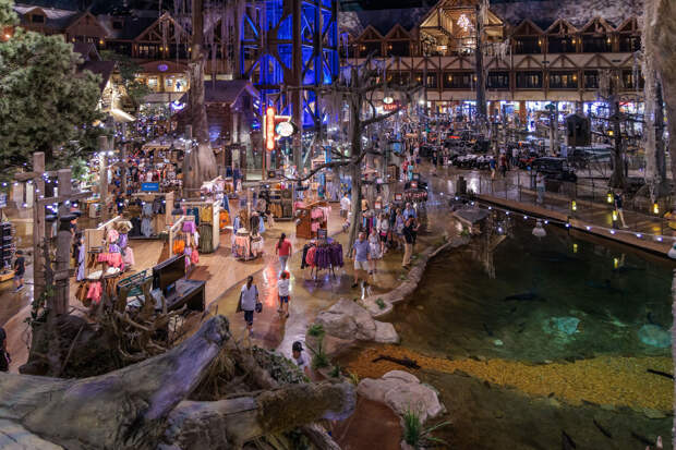 Россиянка описала магазин в США фразой «зашла за носками, а там крокодилы»