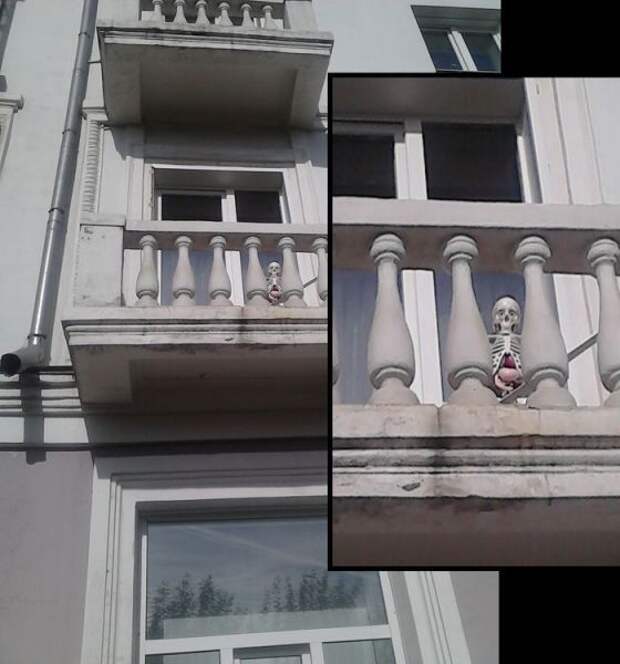 Прикольные картинки