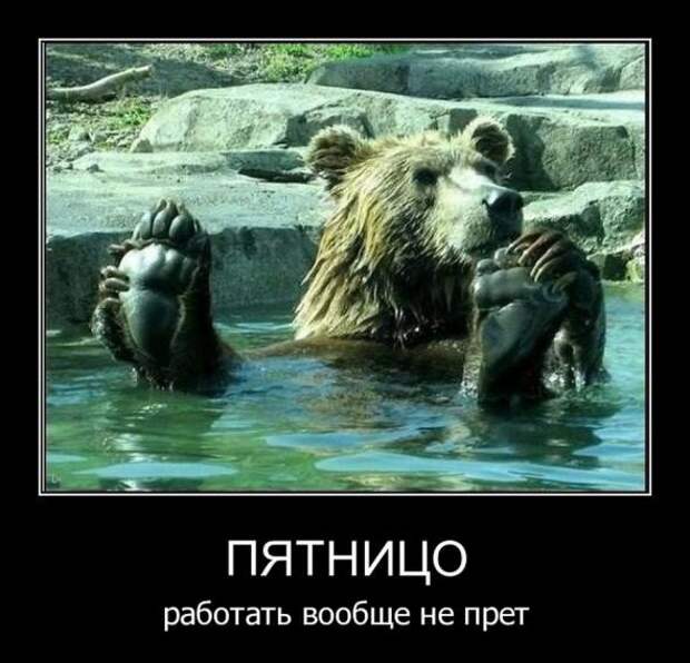 Убойные, прикольные демотиваторы