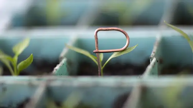 Аналитик Зварич назвал факторы укрепления рубля