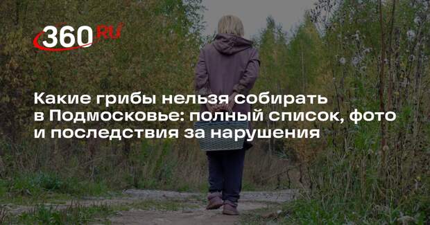 В Подмосковье с 1 сентября введут штрафы за сбор краснокнижных грибов