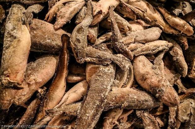 Блог - Ямальский мерзлотник — крупнейший природный холодильник в мире, где можно заблудиться Ямальский мерзлотник — крупнейший природный холодильник в мире, где можно заблудиться