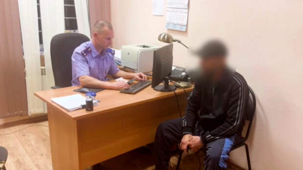 СК: семьям изнасиловавших калужскую девочку мигрантов грозит депортация