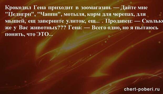 Самые смешные анекдоты ежедневная подборка chert-poberi-anekdoty-chert-poberi-anekdoty-59540603092020-10 картинка chert-poberi-anekdoty-59540603092020-10