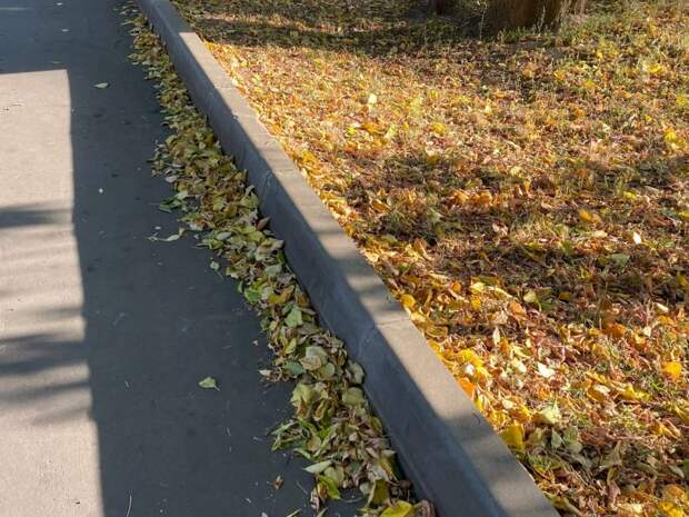 На Дубнинской улице убрали упавшую листву