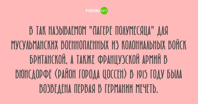 Любопытные факты, которые будут интересны людям с высоким IQ Любопытные факты, которые будут интересны людям с высоким IQ занимательные факты, факты