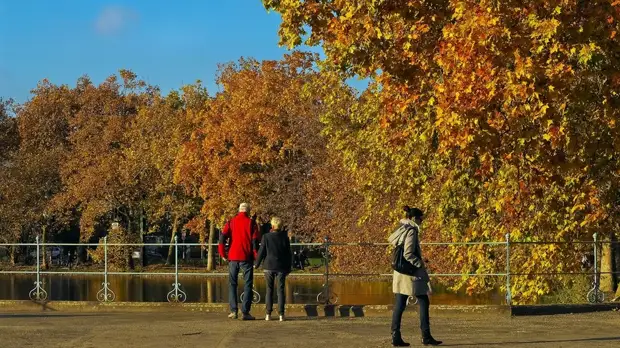Психолог Лысакова дала советы по борьбе с осенней хандрой