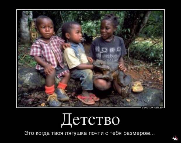 Блоги.  -  