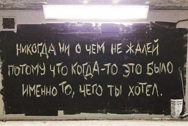 kartinok-veselyh-interesnyh-kartinki-smeshnye-kartinki-fotoprikoly