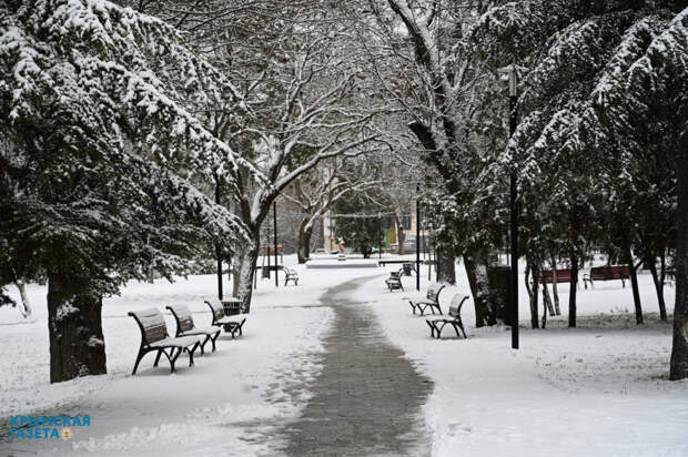 Погода 15 января: снег и мороз