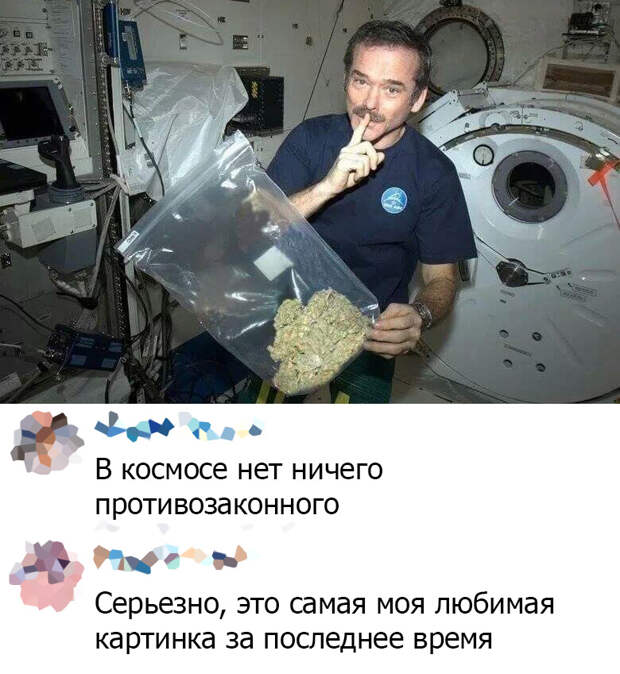 Подборка картинок. Вечерний выпуск (31 фото)