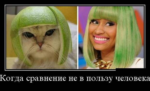 Демотиваторы (30 фото)