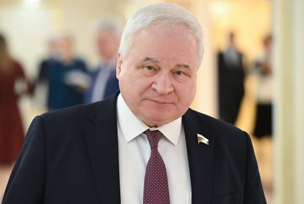 Российский сенатор высказался о позиции Москвы и Пекина по решению конфликтов