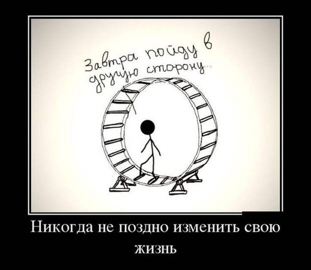 Демотиваторы (30 фото)