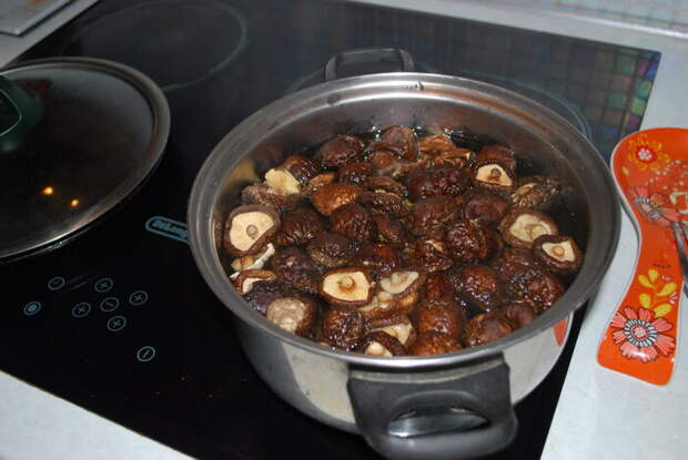 Сырный суп из шиитаке Рецепт, Кулинария, Еда, Суп, Шиитаке, Длиннопост