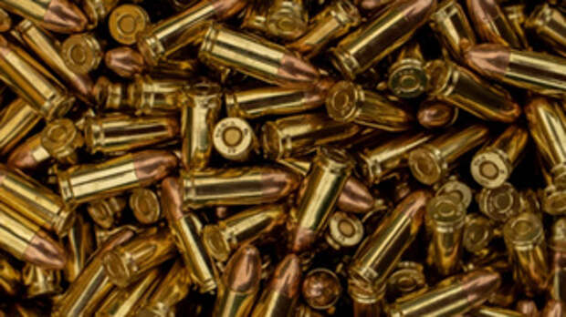 Патроны / Фото: unsplash.com      