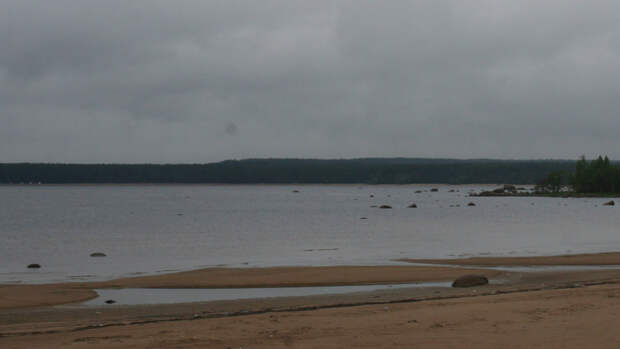 Эксперт объяснил массовый выброс рыбы на берег в Приморье