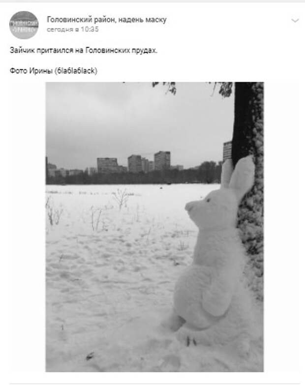 Фото дня: обновленный заяц у Головинских прудов