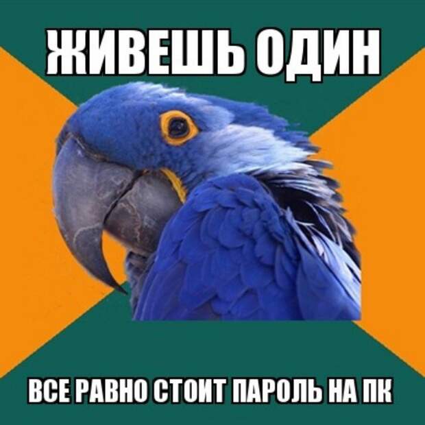 Лучше быть параноиком, чем с ножом в спине! Лучше быть параноиком, чем с ножом в спине!