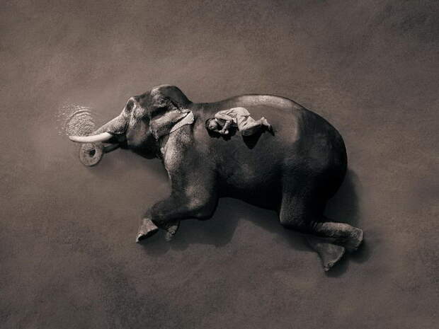 Люди и животные в фотографиях Gregory Colbert Люди и животные в фотографиях Gregory Colbert