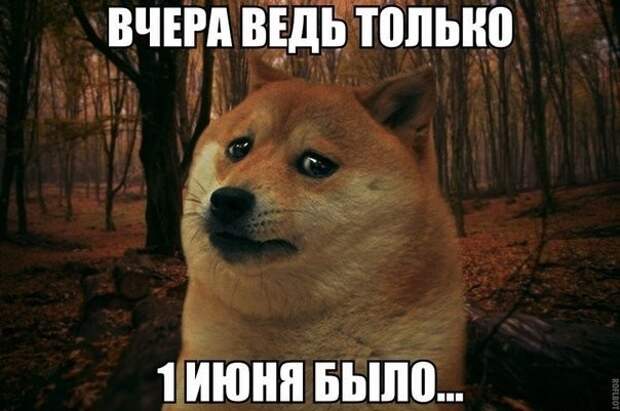 Картинки с надписями мем, прикол, юмор