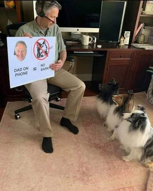 20 супер-мимимишных фотографий, которые вызовут у вас восторг