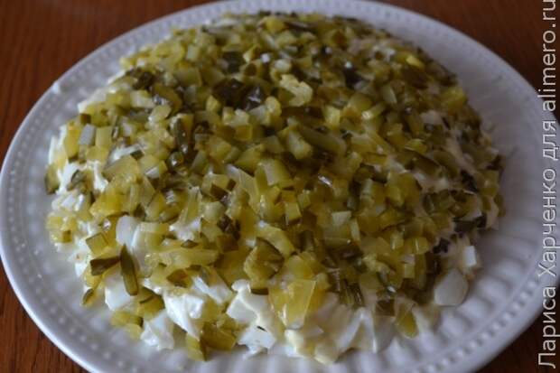 салат салат